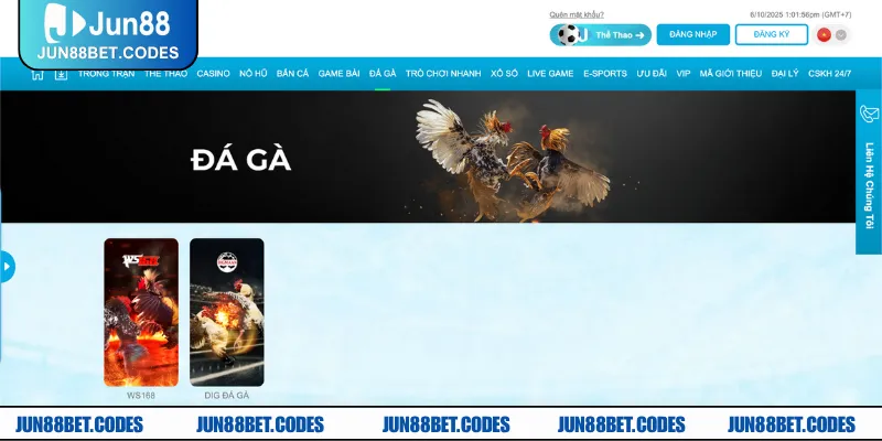 Giới thiệu đôi nét về sảnh cược đá gà JUN88 online